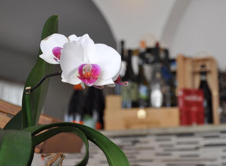 Hotel Torre Celle Ligure Kültér fotó
